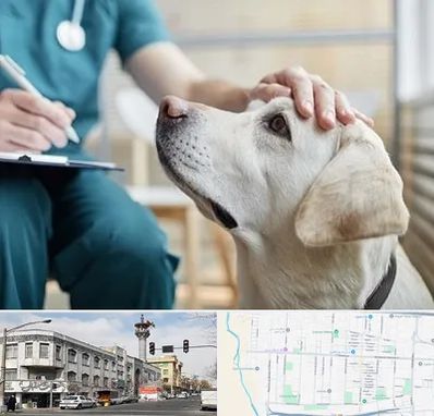 کلینیک دامپزشکی در 17شهریور