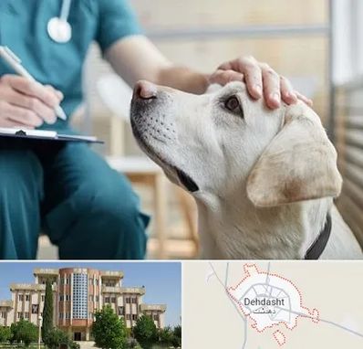 کلینیک دامپزشکی در دهدشت