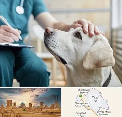 کلینیک دامپزشکی در یزد
