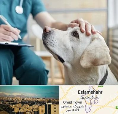 کلینیک دامپزشکی در اسلامشهر