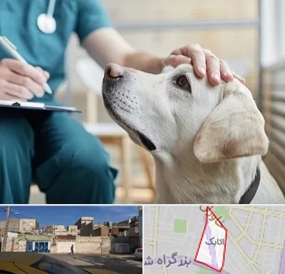 کلینیک دامپزشکی در اتابک