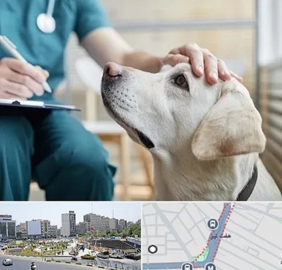 کلینیک دامپزشکی در هفت تیر