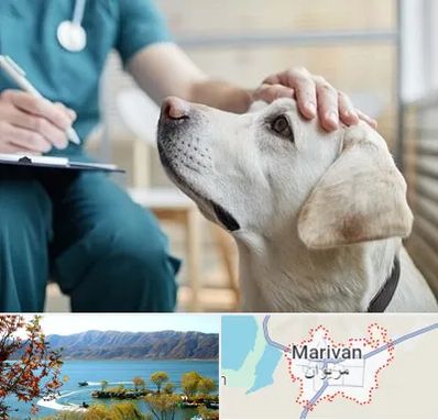 کلینیک دامپزشکی در مریوان