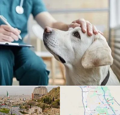 کلینیک دامپزشکی در فرهنگ شهر شیراز