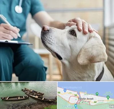 کلینیک دامپزشکی در بندر انزلی