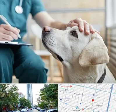 کلینیک دامپزشکی در امامت مشهد