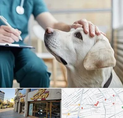 کلینیک دامپزشکی در عطاران قم