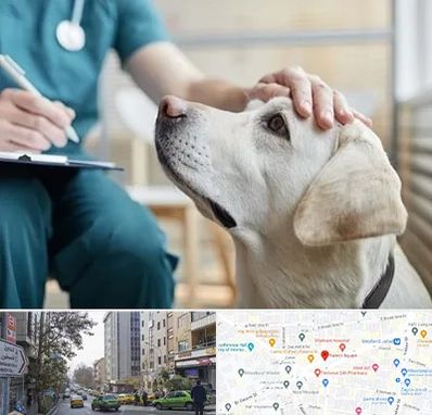 کلینیک دامپزشکی در فاطمی