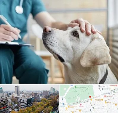 کلینیک دامپزشکی در بلوار کشاورز