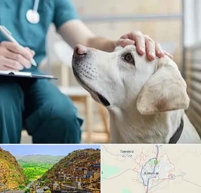کلینیک دامپزشکی در کامیاران
