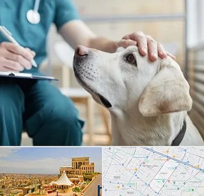 کلینیک دامپزشکی در هاشمیه مشهد