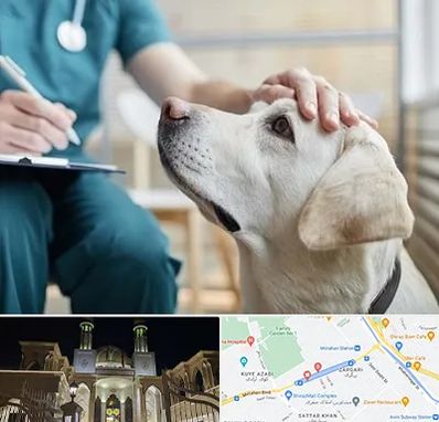 کلینیک دامپزشکی در زرگری شیراز