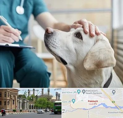 کلینیک دامپزشکی در پاکدشت