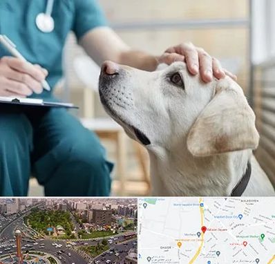 کلینیک دامپزشکی در سبلان