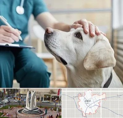 کلینیک دامپزشکی در زابل