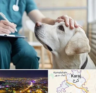 کلینیک دامپزشکی در کرج