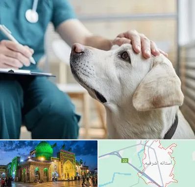 کلینیک دامپزشکی در آستانه اشرفیه