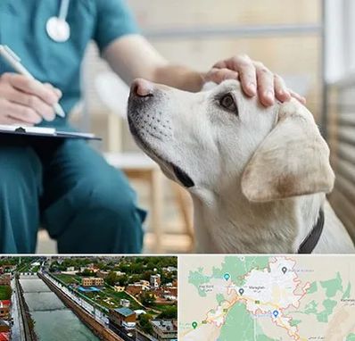 کلینیک دامپزشکی در مراغه