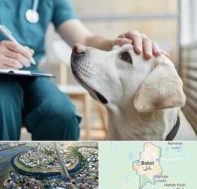 کلینیک دامپزشکی در بابل