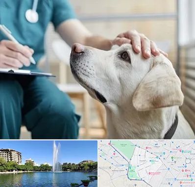 کلینیک دامپزشکی در کوهسنگی مشهد