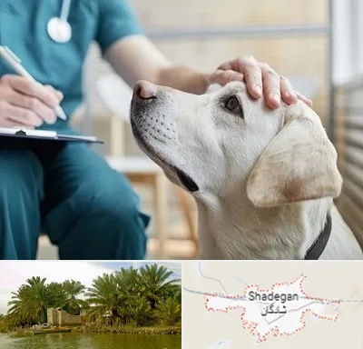 کلینیک دامپزشکی در شادگان