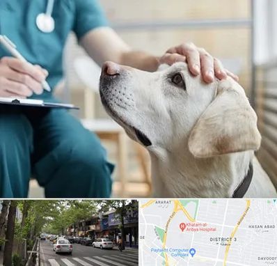 کلینیک دامپزشکی در ظفر