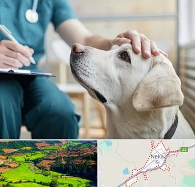 کلینیک دامپزشکی در نکا