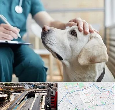 کلینیک دامپزشکی در ستارخان شیراز