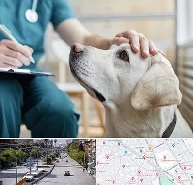 کلینیک دامپزشکی در خیابان زند شیراز