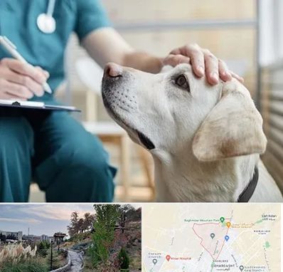 کلینیک دامپزشکی در باغستان کرج