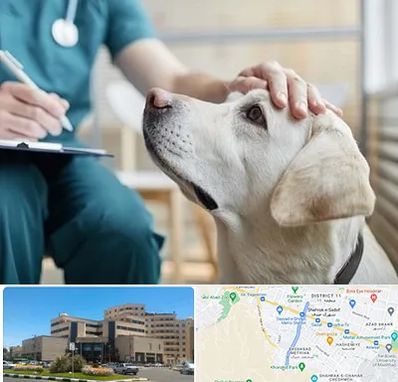 کلینیک دامپزشکی در صیاد شیرازی مشهد