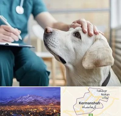 کلینیک دامپزشکی در کرمانشاه