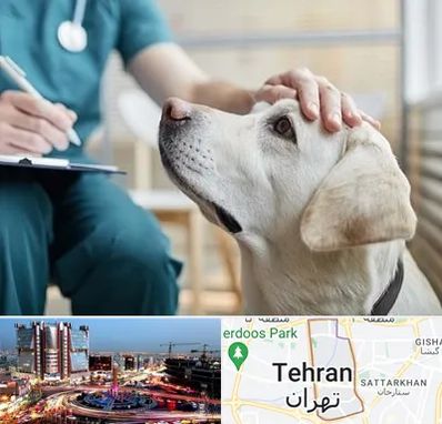 کلینیک دامپزشکی در صادقیه