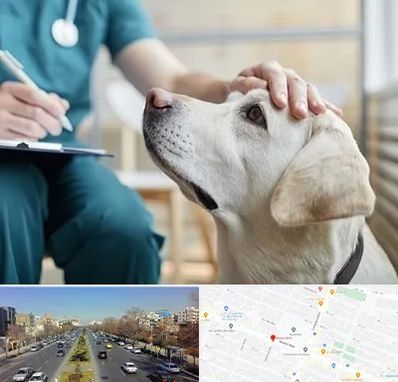 کلینیک دامپزشکی در بلوار معلم مشهد