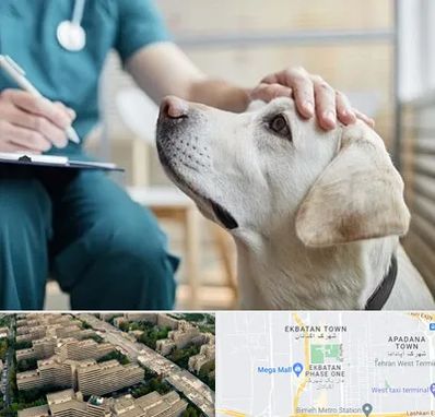 کلینیک دامپزشکی در اکباتان