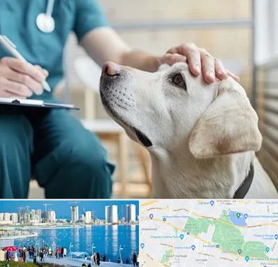 کلینیک دامپزشکی در چیتگر