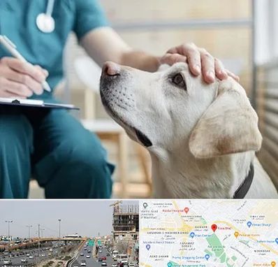 کلینیک دامپزشکی در بلوار توس مشهد