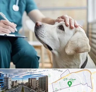 کلینیک دامپزشکی در سعادت آباد
