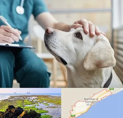 کلینیک دامپزشکی در بندرلنگه
