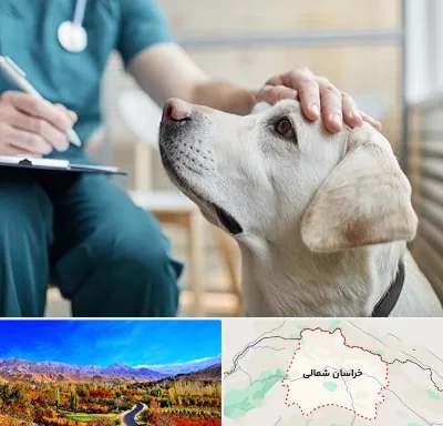 کلینیک دامپزشکی در خراسان شمالی