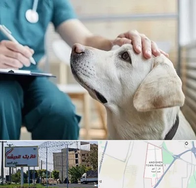 کلینیک دامپزشکی در فاز یک اندیشه