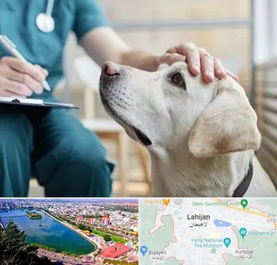کلینیک دامپزشکی در لاهیجان