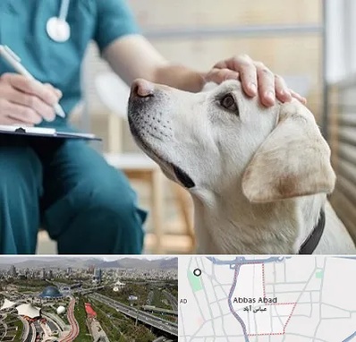 کلینیک دامپزشکی در عباس آباد تهران