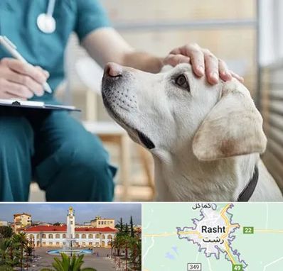 کلینیک دامپزشکی در رشت