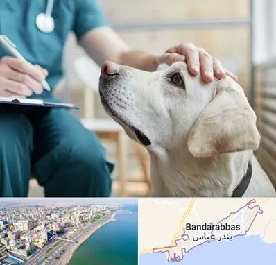 کلینیک دامپزشکی در بندرعباس