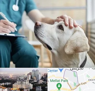 کلینیک دامپزشکی در الهیه