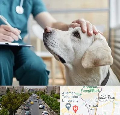 کلینیک دامپزشکی در شهران