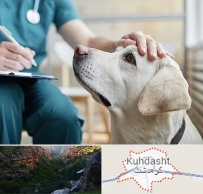 کلینیک دامپزشکی در کوهدشت