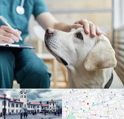 کلینیک دامپزشکی در میدان شهرداری رشت