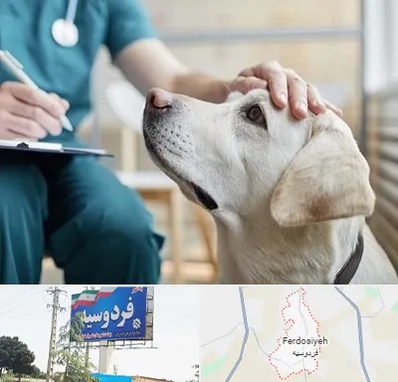 کلینیک دامپزشکی در فردوسیه شهریار